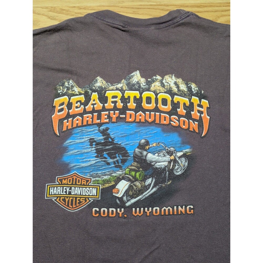 Harley Davidson‎ Beartooth Cody Wyoming Motorcycle T-Shirt Men's Medium